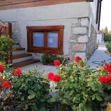 Dana Apartmani Kolašin Εξωτερικό φωτογραφία