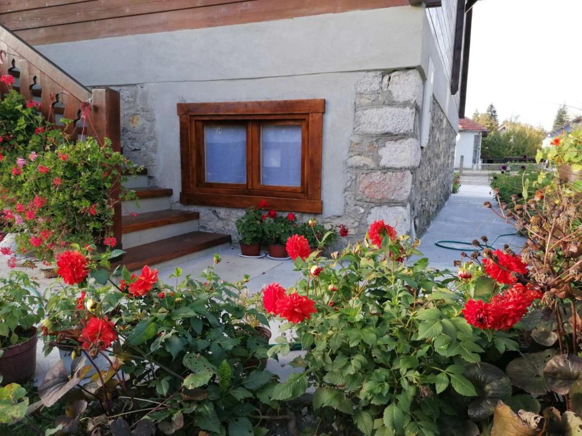 Dana Apartmani Kolašin Εξωτερικό φωτογραφία